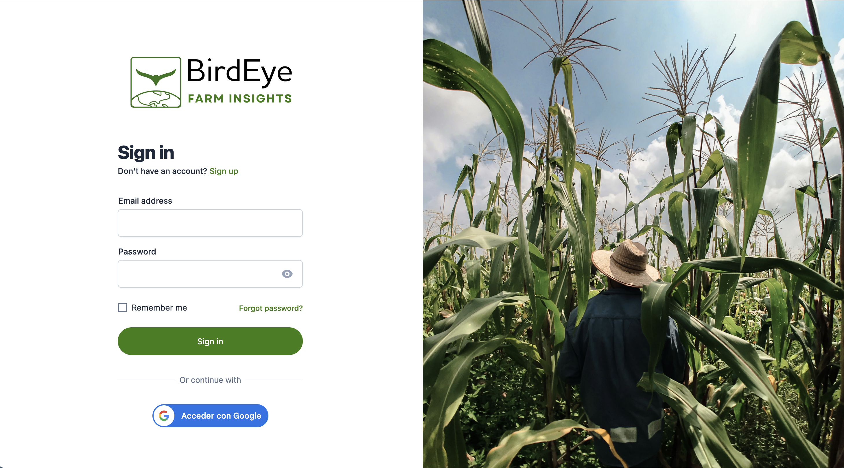 BirdEyeFarm